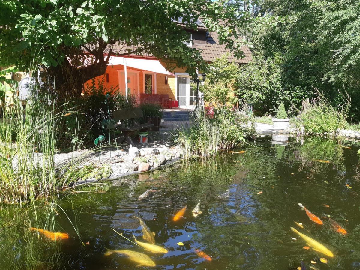 Salus Spreewald - Erholung & Natur - Kolonie  Экстерьер фото